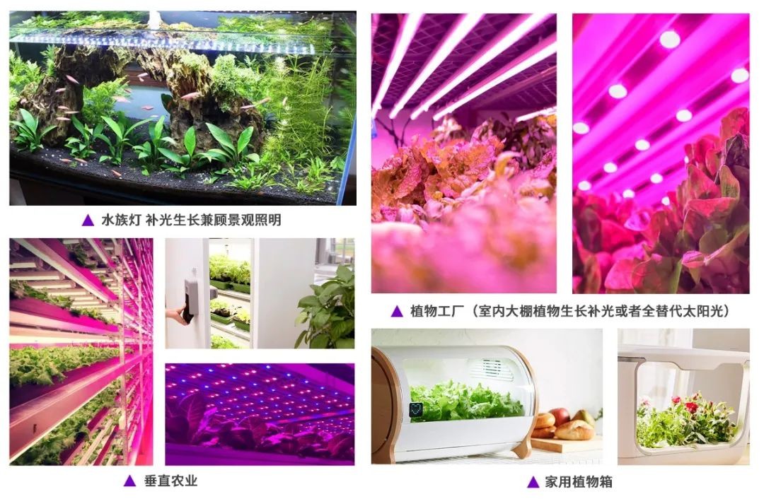 918博天堂(中国区)集团网站