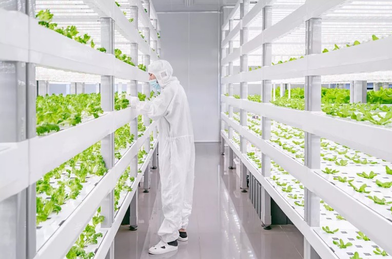 918博天堂(中国区)集团网站